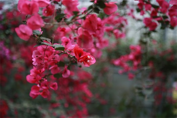 qq情侣网名2个字古风精选77个