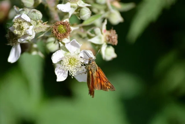 网名两字高冷【31个精选】