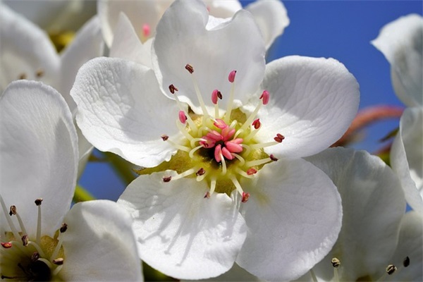 表达我想你了的句子 表示我想你的句子