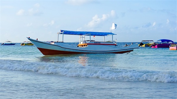 关于暗示表白的句子，暗示表白的句子幽默精选