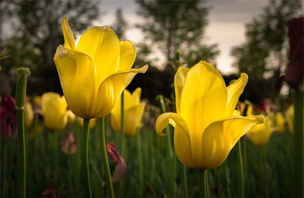 热血沸腾的青春