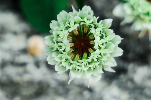 天蝎女和巨蟹男在一起合适吗 天蝎女和巨蟹男到底配不配