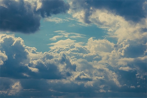 客厅植物的风水及摆放技巧 客厅植物的摆放位置