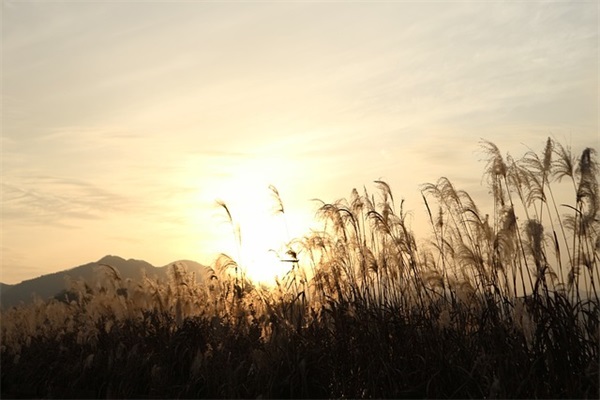 武财神在办公室的摆放位置 武财神公司摆放位置