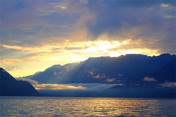 梦见白色的狐狸是什么意思 梦见白色的狐狸是什么意思周公解梦