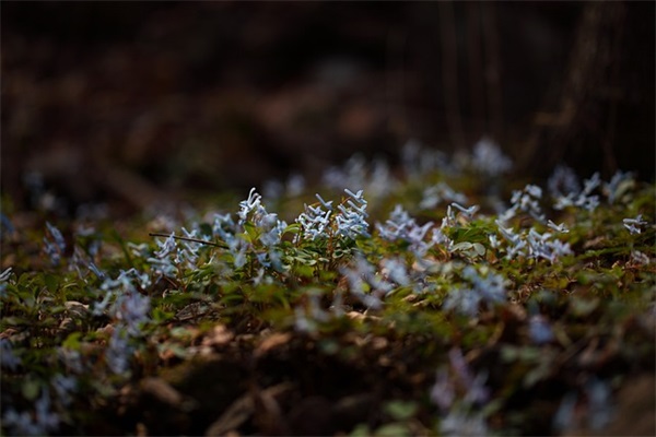 玉手镯碎了有什么预示 玉镯子突然碎了是什么表现