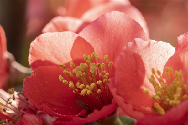 梦见朋友数钱是什么意思 梦见朋友耍钱