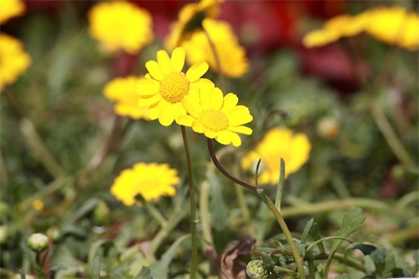 全网最火关于借钱不还的句子汇总四十句