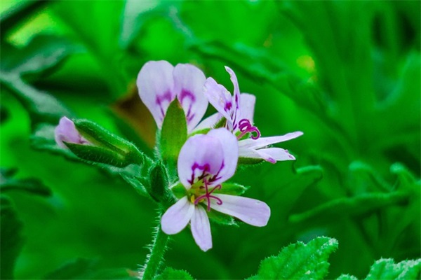 睡不着的幽默句子(精选45条)