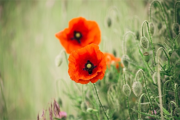 女朋友心难受哄她开心的句子 (合集60句)