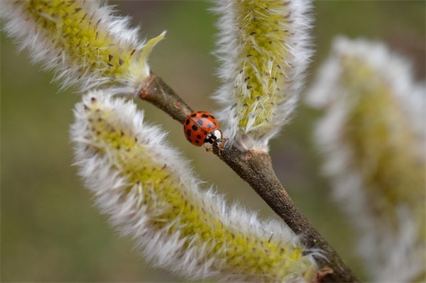 空气清新的句子摘录(40句)