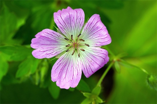 表达自己委屈的句子集合65条