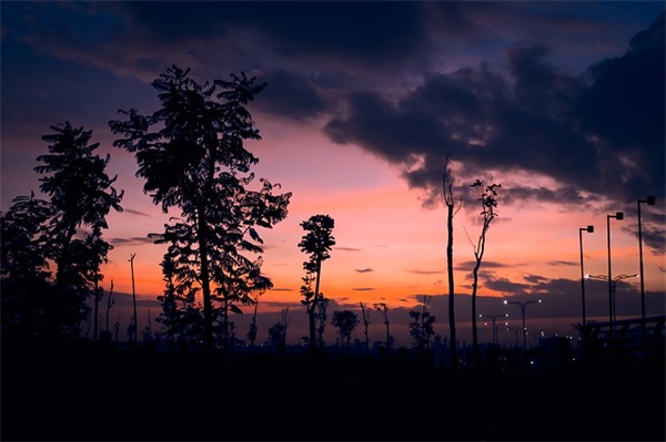关于下雪天不小心滑倒的幽默句子集合(40句)