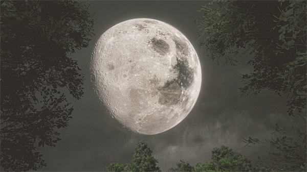 毕业生给老师祝福语53句