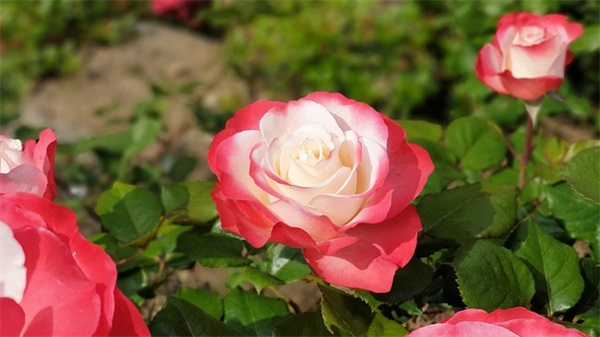 适合老友相聚发朋友圈的句子(精选46句)