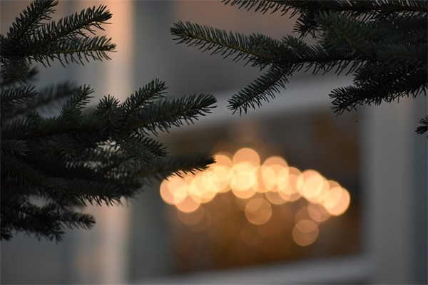 形容亲情的唯美句子