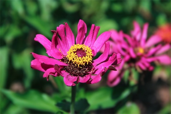 一句话笑话大全爆笑