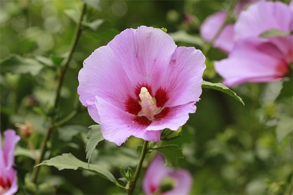 一句话简单的晒娃句子 被宝宝萌化了赞美句子