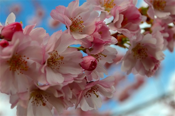 五一晒斿游照的朋友圈文案句子(精选68句)