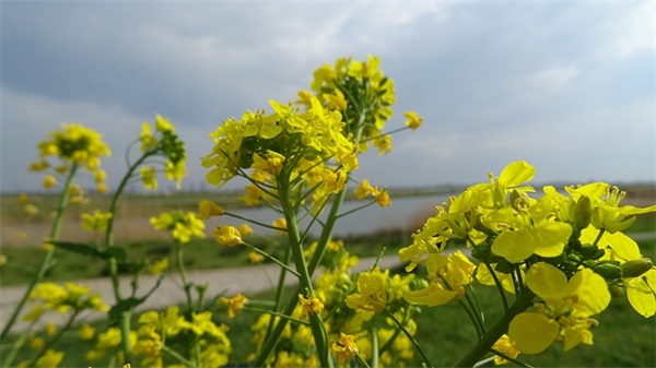 励志奋斗的祝福语