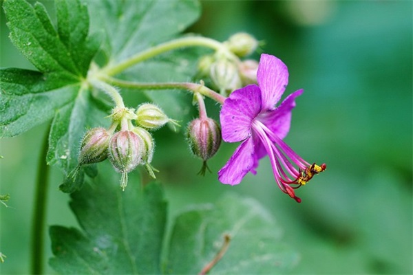 祝领导退休祝福语大全 致退休经典祝福语