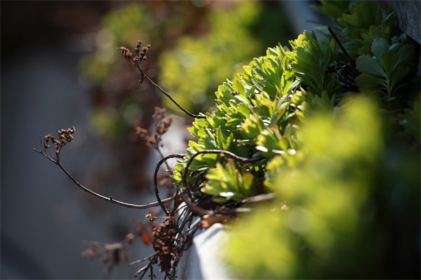 新店开业祝福语2026 新店开业祝福语大全