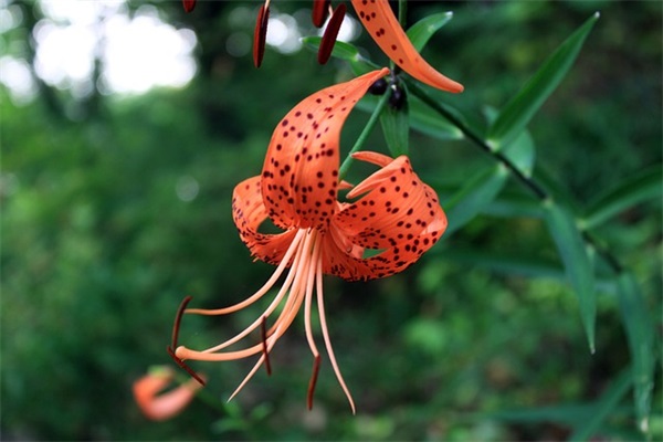 游戏情侣名字简短霸气甜甜蜜蜜