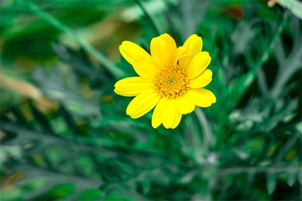 6个字的情侣网名 浪漫情侣六个字的名字