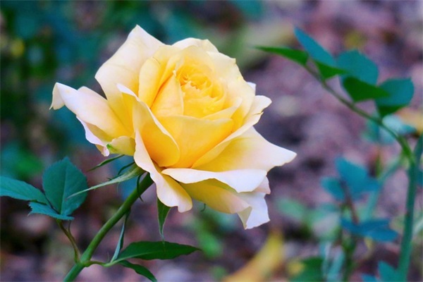 伤感游戏名字_游戏网名