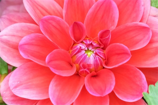 梦幻西游5开名字大全_血染春秋