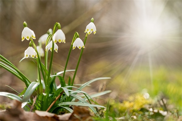 男生网名帅气阳光吸引人的游戏名字