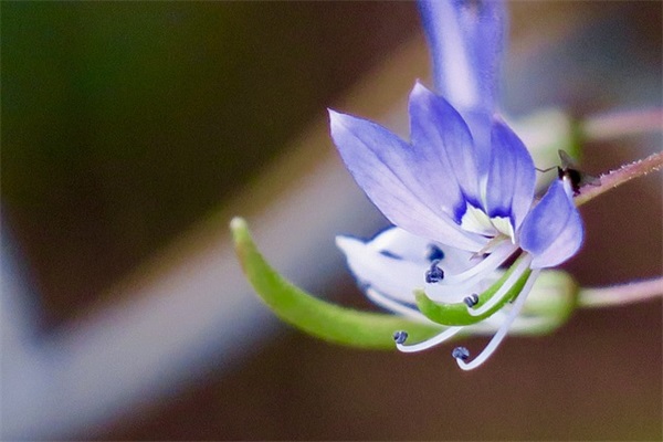 超唯美古风网名情侣
