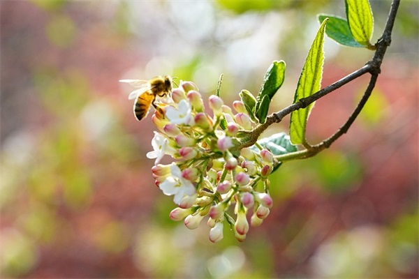 性化班级口号86句