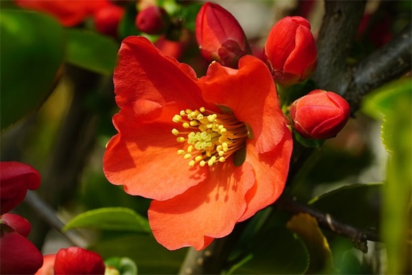 最新体育标语口号82句