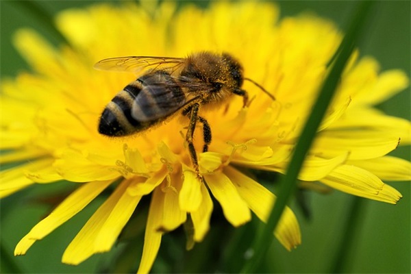 消防安全宣传口号80句