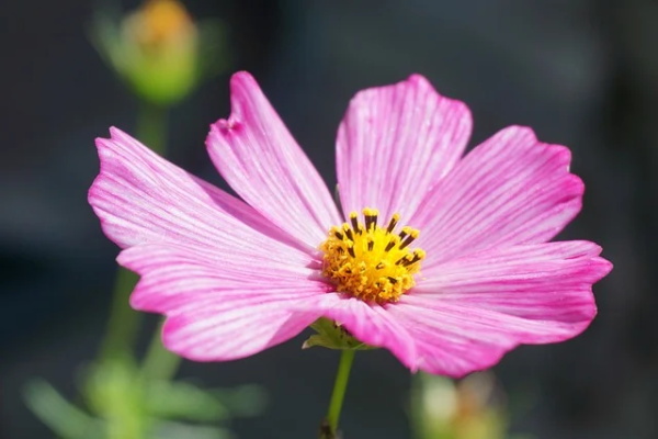 高中班级口号霸气82句