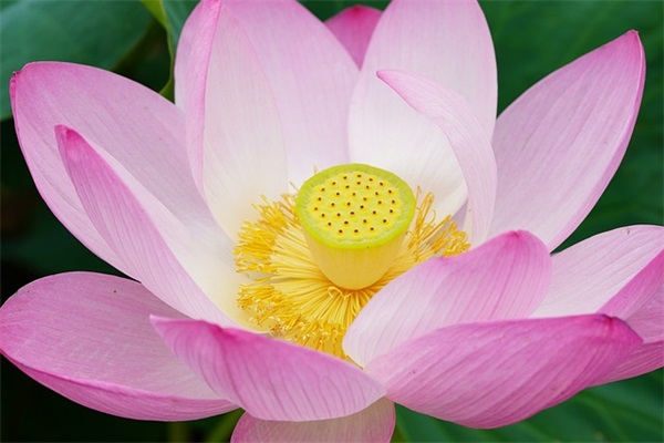 光棍节酒吧广告标语97句