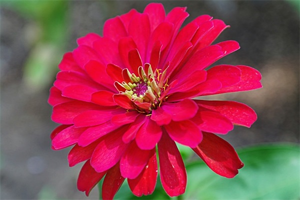 大学简短霸气班级口号85句