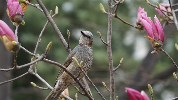 开门红销售精英口号82句