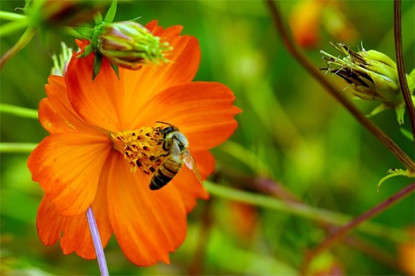 2026杜绝浪费食堂宣传标语口号