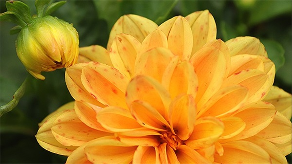 餐饮口号大全84句