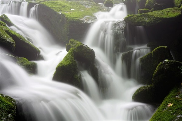 高中理科班运动会口号84句