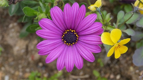 节能环保宣传口号86句