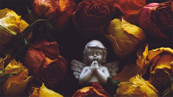 闺蜜订婚祝福语 闺蜜订婚祝福语简短霸气