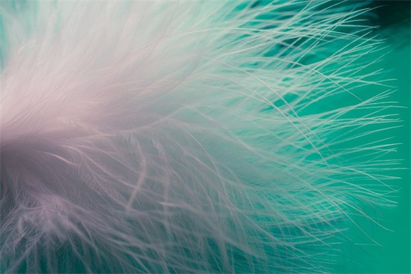 亲密爱人生日祝福语25句