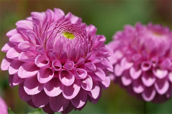 美容院开业祝福短信24句