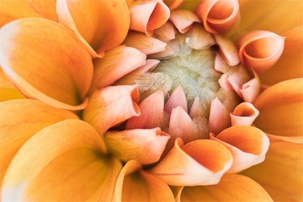 给妹妹生日祝福语