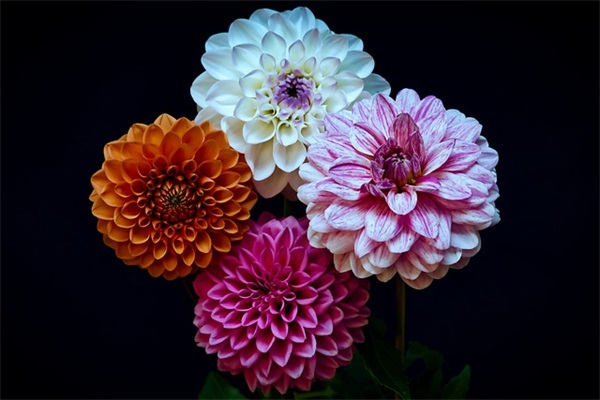 激励高考加油祝福语