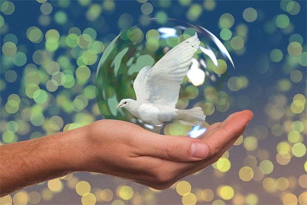 2025年陪着你长大唯美句子（精选100句）