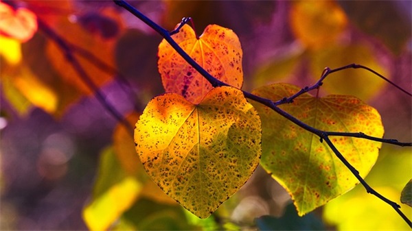 关于骂老公的最高境界的句子140句（全网精选）